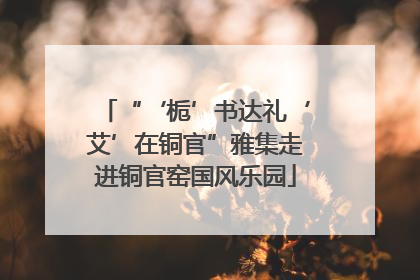 “‘栀’书达礼‘艾’在铜官”雅集走进铜官窑国风乐园