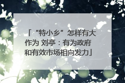 “特小乡”怎样有大作为 刘亭：有为政府和有效市场相向发力