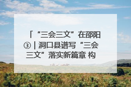 “三会三文”在邵阳③｜洞口县谱写“三会三文”落实新篇章 构建协同联动大格局