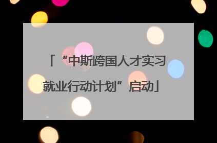 “中斯跨国人才实习就业行动计划”启动