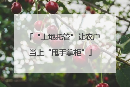 “土地托管”让农户当上“甩手掌柜”
