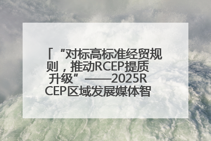 “对标高标准经贸规则，推动RCEP提质升级”——2025RCEP区域发展媒体智库论坛举行专题对话