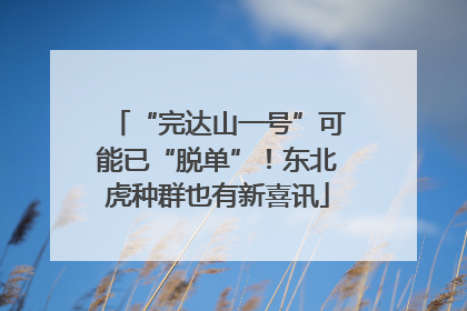 “完达山一号”可能已“脱单”！东北虎种群也有新喜讯