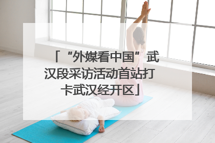 “外媒看中国”武汉段采访活动首站打卡武汉经开区