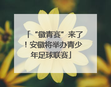 “徽青赛”来了！安徽将举办青少年足球联赛