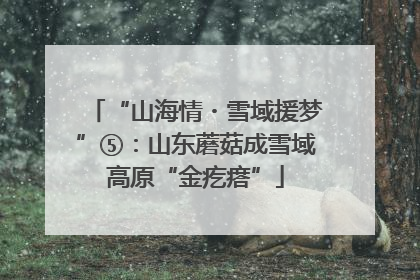 “山海情・雪域援梦”⑤：山东蘑菇成雪域高原“金疙瘩”