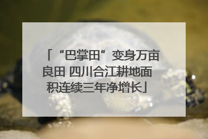 “巴掌田”变身万亩良田 四川合江耕地面积连续三年净增长