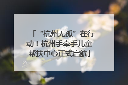 “杭州无孤”在行动！杭州手牵手儿童帮扶中心正式启航