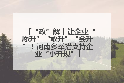 “政”解丨让企业“愿升”“敢升”“会升”！河南多举措支持企业“小升规”