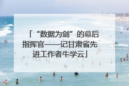 “数据为剑”的幕后指挥官——记甘肃省先进工作者牛学云