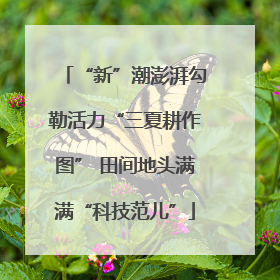 “新”潮澎湃勾勒活力“三夏耕作图” 田间地头满满“科技范儿”