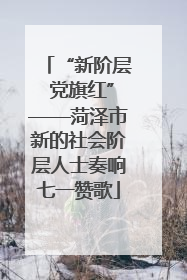 “新阶层 党旗红”——菏泽市新的社会阶层人士奏响七一赞歌