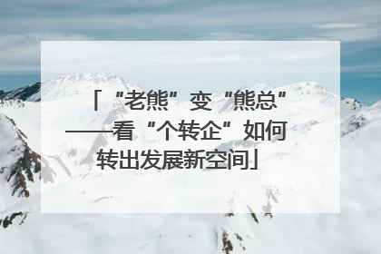 “老熊”变“熊总”——看“个转企”如何转出发展新空间