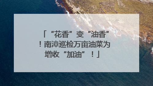 “花香”变“油香”！南漳巡检万亩油菜为增收“加油”！