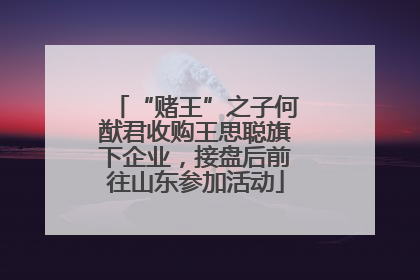 “赌王”之子何猷君收购王思聪旗下企业，接盘后前往山东参加活动