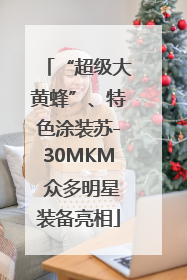 “超级大黄蜂”、特色涂装苏-30MKM 众多明星装备亮相