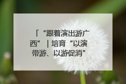 “跟着演出游广西”｜培育“以演带游、以游促消”文旅消费新生态