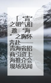 “青”之朝气相邀 “海”之胸怀奔赴——青海省招商引资上海推介会现场见闻