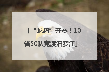 “龙超”开赛！10省50队竞渡汨罗江