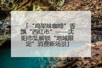 “鸡架味咖啡”香飘“西红市”——沈阳市集解锁“地域限定”消费新场景