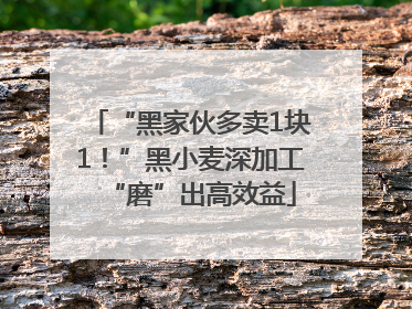 “黑家伙多卖1块1！”黑小麦深加工“磨”出高效益