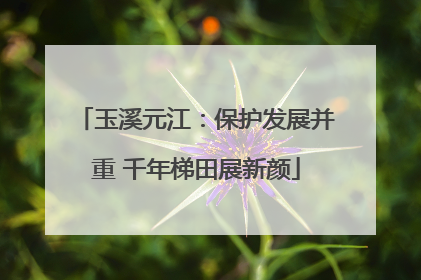 玉溪元江：保护发展并重 千年梯田展新颜
