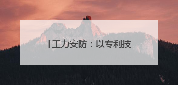 王力安防：以专利技术驱动行业变革 引领安防产业高质量发展