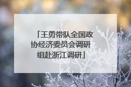 王勇带队全国政协经济委员会调研组赴浙江调研