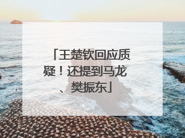 王楚钦回应质疑！还提到马龙、樊振东