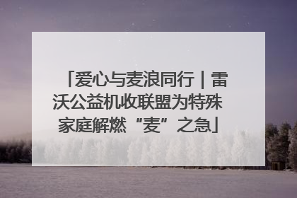 爱心与麦浪同行｜雷沃公益机收联盟为特殊家庭解燃“麦”之急