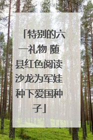 特别的六一礼物 随县红色阅读沙龙为军娃种下爱国种子