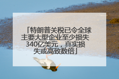 特朗普关税已令全球主要大型企业至少损失340亿美元，真实损失或高致数倍