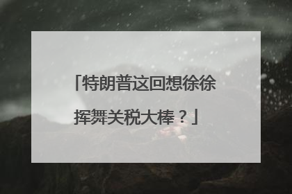 特朗普这回想徐徐挥舞关税大棒？