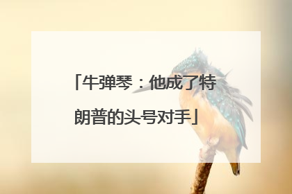 牛弹琴：他成了特朗普的头号对手