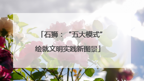 石狮：“五大模式”绘就文明实践新图景