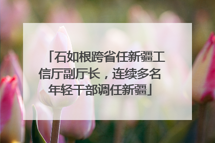 石如根跨省任新疆工信厅副厅长，连续多名年轻干部调任新疆