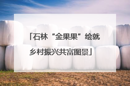 石林“金果果”绘就乡村振兴共富图景