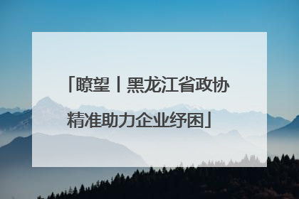 瞭望丨黑龙江省政协精准助力企业纾困