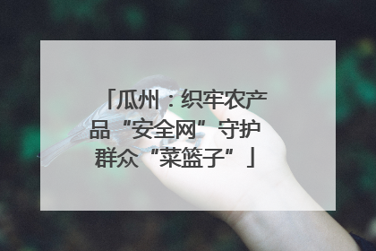 瓜州：织牢农产品“安全网”守护群众“菜篮子”