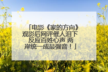 电影《家的方向》观影后网评催人泪下 反应百姓心声 两岸统一成最强音！