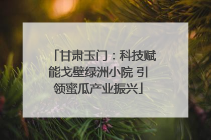 甘肃玉门：科技赋能戈壁绿洲小院 引领蜜瓜产业振兴