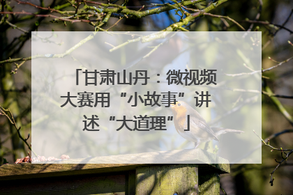 甘肃山丹：微视频大赛用“小故事”讲述“大道理”