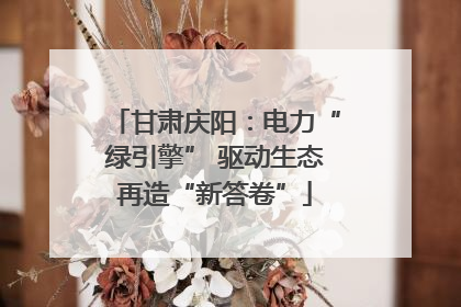 甘肃庆阳：电力“绿引擎” 驱动生态再造“新答卷”