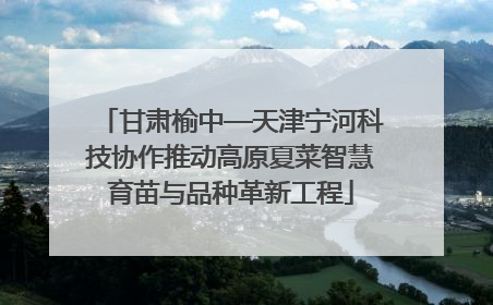 甘肃榆中—天津宁河科技协作推动高原夏菜智慧育苗与品种革新工程