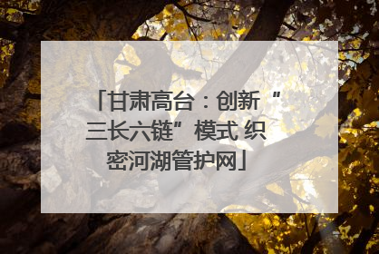 甘肃高台：创新“三长六链”模式 织密河湖管护网