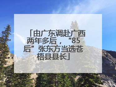 由广东调赴广西两年多后，“85后”张东方当选苍梧县县长