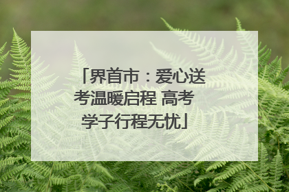 界首市：爱心送考温暖启程 高考学子行程无忧