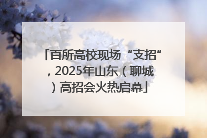 百所高校现场“支招”，2025年山东（聊城）高招会火热启幕