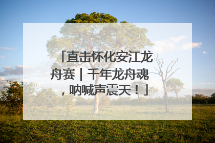 直击怀化安江龙舟赛｜千年龙舟魂，呐喊声震天！
