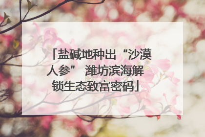 盐碱地种出“沙漠人参” 潍坊滨海解锁生态致富密码